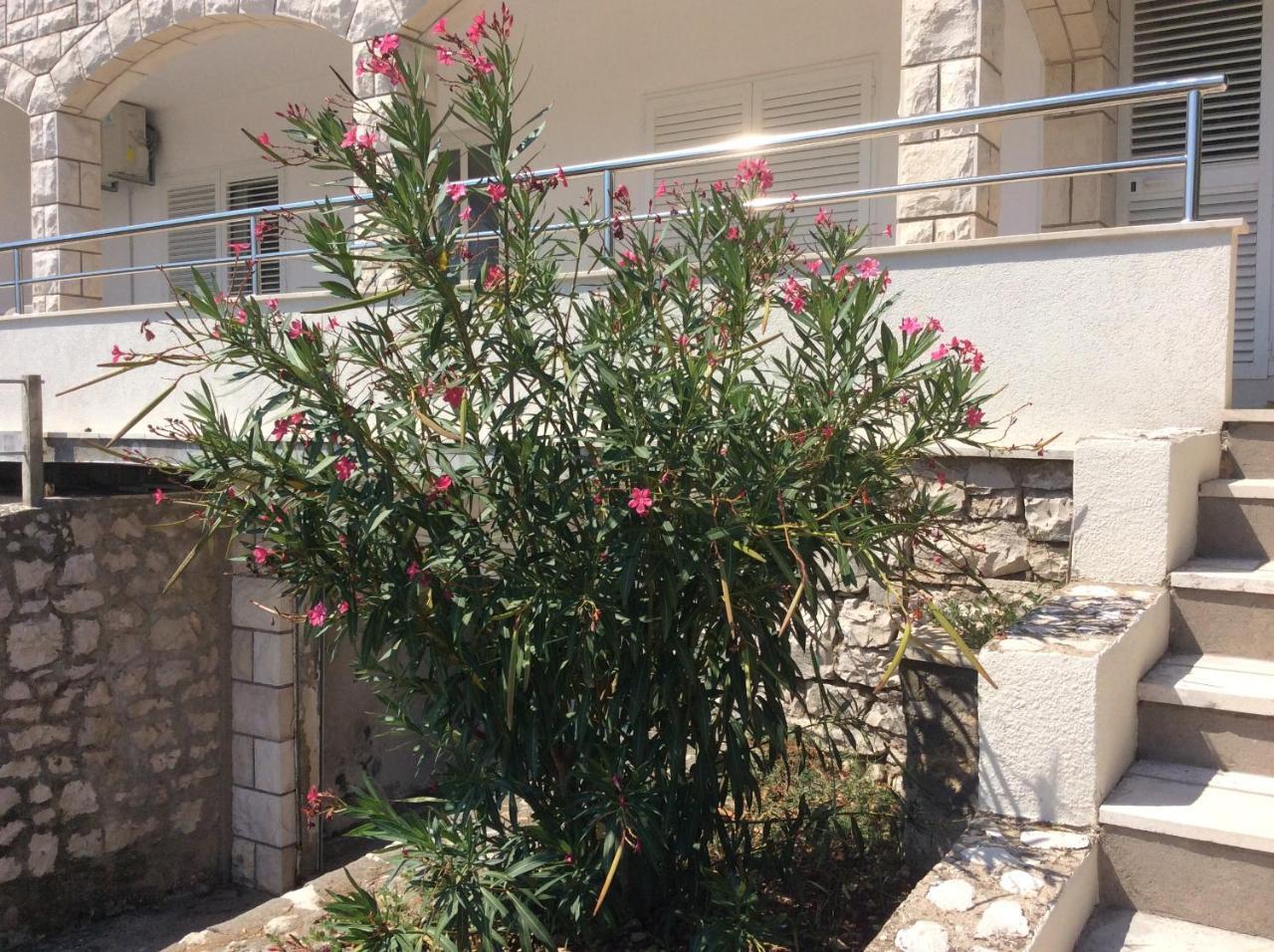 Lux Apartments Korčula Extérieur photo